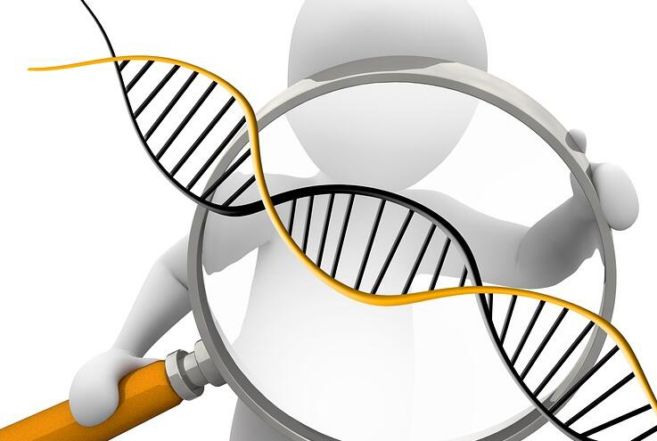 宜昌可以做DNA亲子鉴定吗,宜昌做亲子鉴定流程
